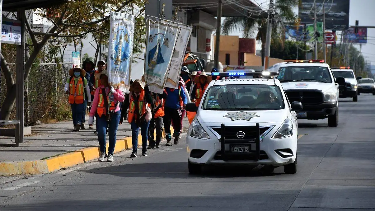 Operativo Peregrino (1)